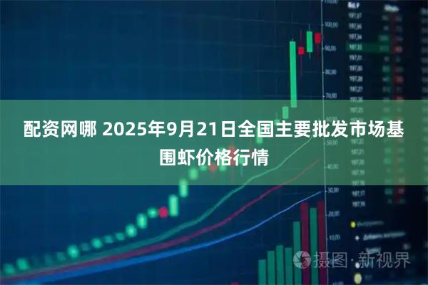 配资网哪 2025年9月21日全国主要批发市场基围虾价格行情